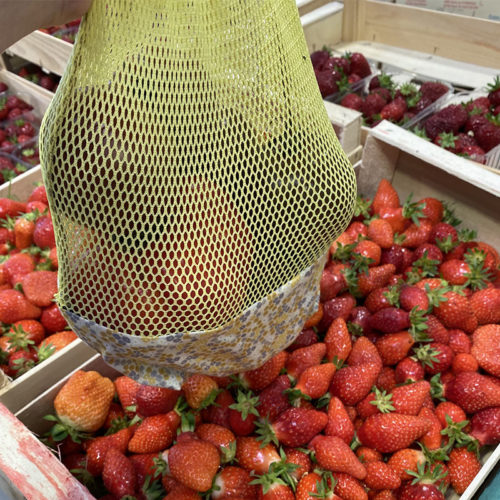 Sac-fruits-légumes-petit-courses-Les-mimignonneries-couturière-morbihan